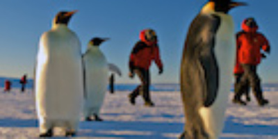 Icetrek South Pole 2012 1