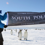Icetrek Flag with Penguins