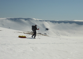 Flexi Paramark Ski Bindings Koscuiszco