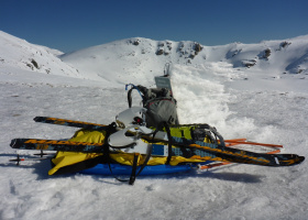Flexi Paramark Ski Bindings On Sled