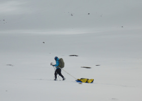 Flexi Paramark Ski Bindings Ski Touring