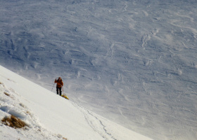 Flexi Paramark Ski Bindings Traversing