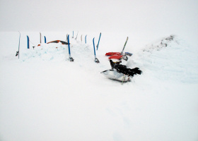 Icetrek Flexi Plateau Ski Bindings Antarctica Camp