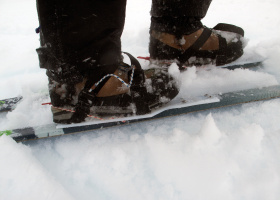 Icetrek Flexi Plateau Ski Bindings Close Up