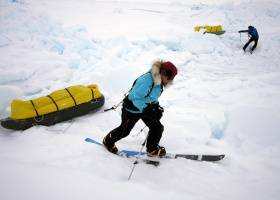 Icetrek Download Strain Reducer Bernice