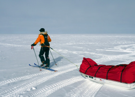Icetrek Land Ice Traces Prince Harry Expedition