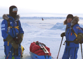 Icetrek Spartan Polar Sled Harness