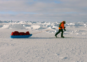 Icetrek Spartan Sled Harness Eric Philips