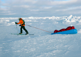 Icetrek Spartan Sled Harness North Pole