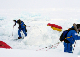 Icetrek Spartan Sled Harness Polar Skiers