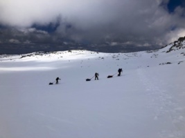 Icetrek-Australian-Alps-Advanced-Sledding-2018.jpg#asset:9833:thumb